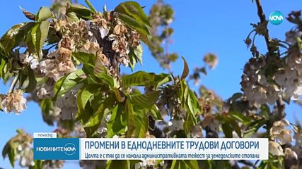 Новините на NOVA (09.06.2025 - 8.00)