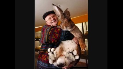 Най - големите животни в света !! D 