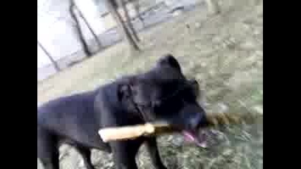 Rea.mp4