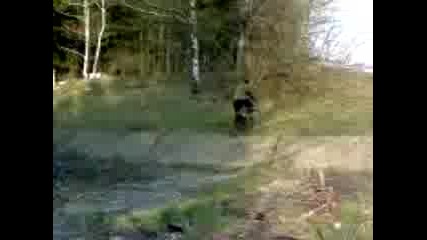 rokera 96