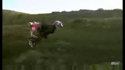 Стиска Ли Ти Да Пробваш?