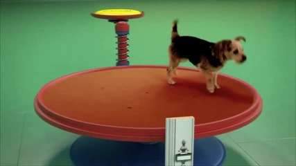Beneful се игра на нови места с този изобретателен машина Dog Goldberg задвижвани от кучетата и люби