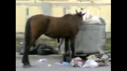 Това го има само в България! 