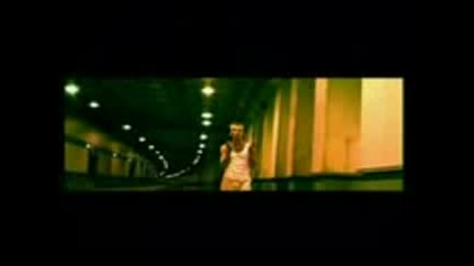 reflex - coyti s uma