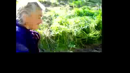 Петкана Българанчена