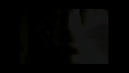 video(3)
