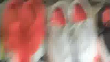 Match Balls and Vapor Collection 