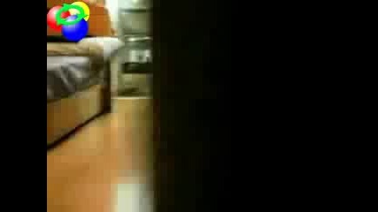 Смешна Котка