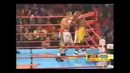 boxin brutality the best knock outs