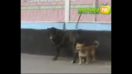 размера няма значение ;)