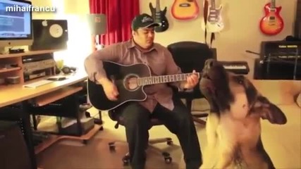 Кучета които обичат да пеят - Компилация