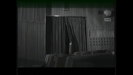 Камелия - Ти си Dvd