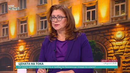 Какви реформи са нужни в българската енергетика