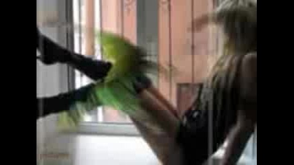 Krisko - Tq E Kuchka