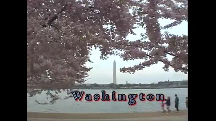 Вашингтон - столица на Сащ