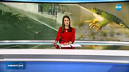Новините на NOVA (10.05.2018 - обедна емисия)