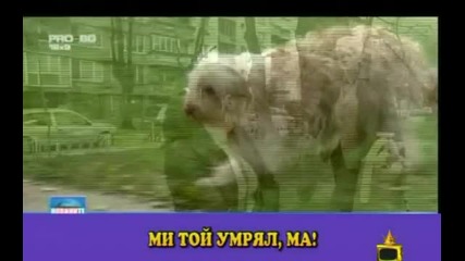 Ми той умрял, ма Господари на ефира 