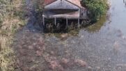 ЕКОЛОГИЧНА КАТАСТРОФА В ГЪРЦИЯ: 19 000 хектара са под вода след потопа край Волос