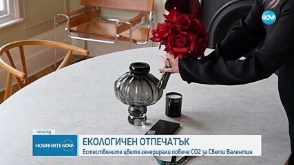 Естествените цветя генерират повече въглероден диоксид за Св. Валентин