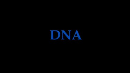Mega Fast Rap