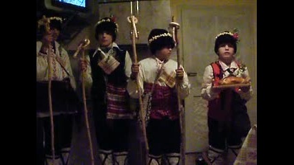 poles koledari 2010
