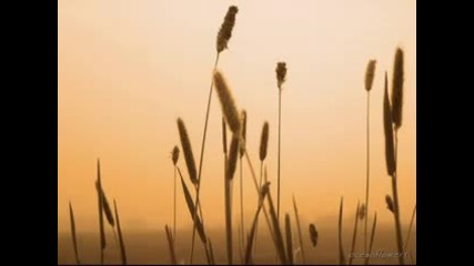 Buddha Bar Vii - Relaxing and soothing music