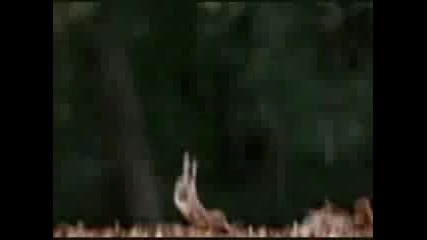 Светът е на смелите! 