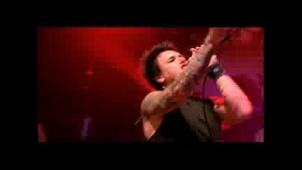 Papa Roach - Life Is Bullet Live