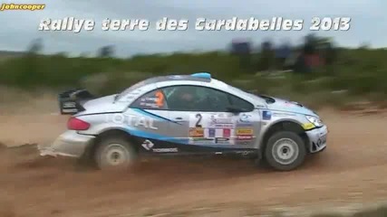 Rallye Terre Des Cardabelles 2013