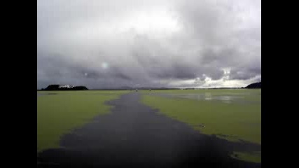 Enigma - We Are Nature