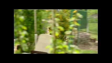 Джена - Луд и съвършен 