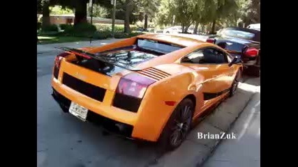 Lamborghini Gallaro Superleggera Start Up 