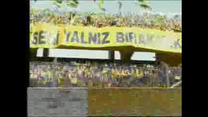 Fenerbahce Fans