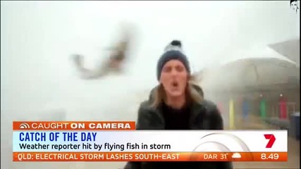 Репортерка беше нокаутирана от риба!