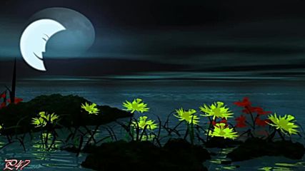Лунни цветя ... ( Huseyn Abdullayev music) ... ...