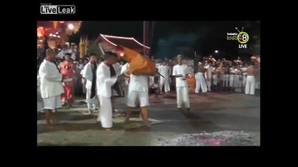 Неприятен инцидент на Вегетариански Фестивал