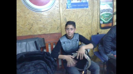 Eksel 2011 daq dade Bistergiam 
