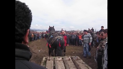 konqt na roko v ilienci