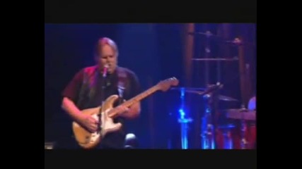 Walter Trout - Dust my broom 