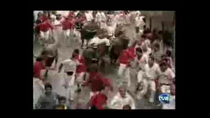 Надбягването С Бикове В Памплона