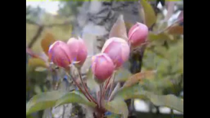 Лили Иванова Март