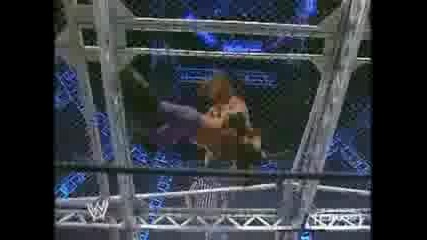Triple H - Pedigree