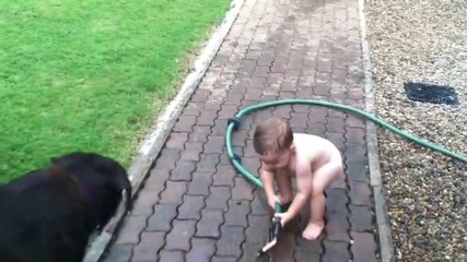 Радостта на дете което мокри кучета.