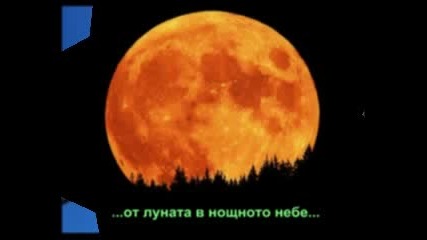 Една Истинска История
