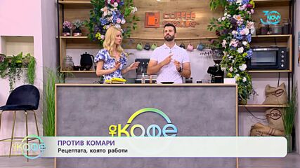Против комари - рецепта, която работи - „На кафе“ (19.07.2024)