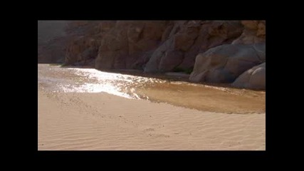Планетата Земя : Пустинен Дъжд