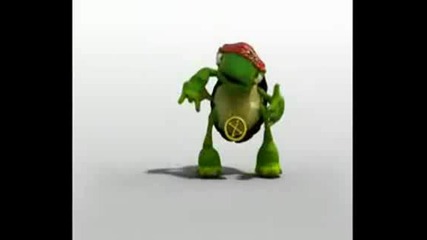 Cool Turtle