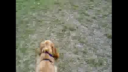Andi.mp4