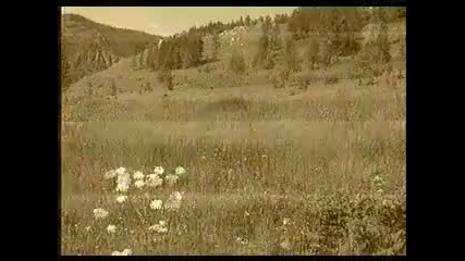 Искатели. Версия Тунгусского взрыва. 