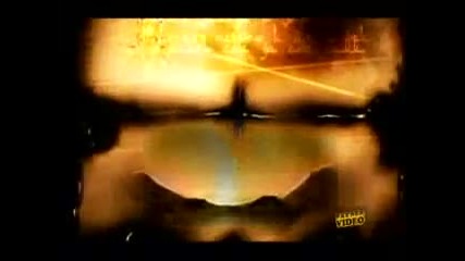 Kamelia - zaleza i zorata 